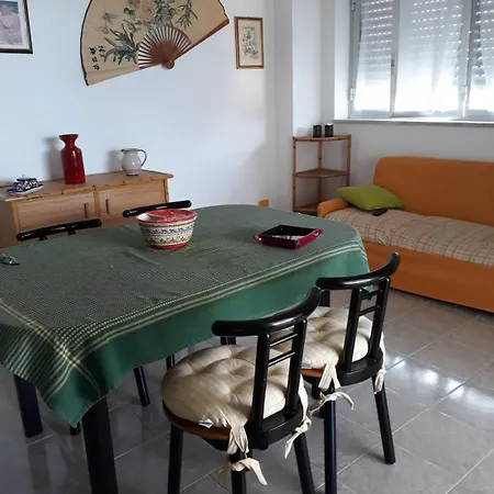 Yucca ريتاني